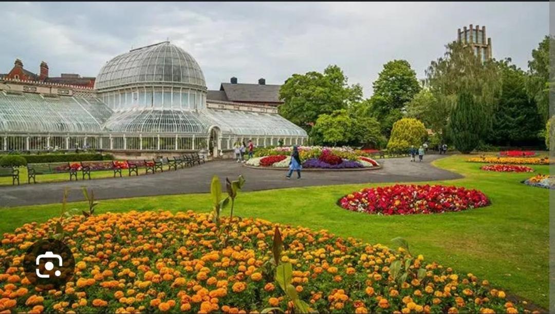 Your Home, Belfast Dış mekan fotoğraf